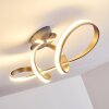 Woyens Plafondlamp LED Staal geborsteld, 1-licht