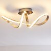 Woyens Plafondlamp LED Staal geborsteld, 1-licht