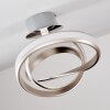 Woyens Plafondlamp LED Staal geborsteld, 1-licht