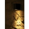 Trio TIBER Buiten muurlamp LED Zwart, 3-lichts