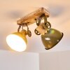 Orny Plafondlamp Groen, 2-lichts