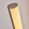 Pipe Staande lamp LED Nikkel mat, 1-licht