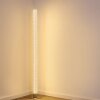 Pipe Staande lamp LED Nikkel mat, 1-licht