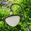 Theux Padverlichting Zwart, 1-licht
