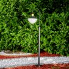 Theux Padverlichting Zwart, 1-licht