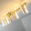 Sakami Plafondlamp LED Nikkel mat, 8-lichts