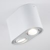 Quimper Plafondlamp Wit, 2-lichts