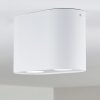 Quimper Plafondlamp Wit, 2-lichts