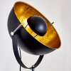 Jupiter Staande lamp Zwart-Goud, Wit, 1-licht