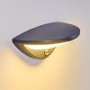Carano Buiten muurverlichting LED Zwart, 1-licht, Bewegingsmelder