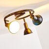 Polmak Plafondlamp Zwart-Goud, 3-lichts