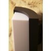 Trio SUEZ Buiten muurlamp LED Zwart, 1-licht