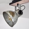 Hora Plafondlamp Zilver, 3-lichts