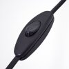 Murter Staande lamp Zwart, 1-licht