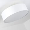 Foggia Plafondlamp Wit, 3-lichts
