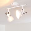 Tina Plafondlamp Wit, 2-lichts