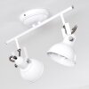 Tina Plafondlamp Wit, 2-lichts