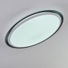 Vejle Plafondlamp LED Wit, 2-lichts, Kleurwisselaar