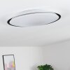 Vejle Plafondlamp LED Wit, 2-lichts, Kleurwisselaar