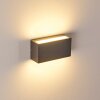 Duluth Buiten muurverlichting LED Antraciet, 1-licht
