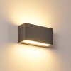 Duluth Buiten muurverlichting LED Antraciet, 1-licht