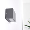 Duluth Buiten muurverlichting LED Antraciet, 1-licht