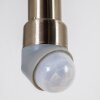 Elima Buiten muurverlichting roestvrij staal, 1-licht, Bewegingsmelder