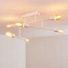 Cahaba Plafondlamp Wit, 6-lichts