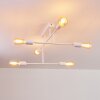 Cahaba Plafondlamp Wit, 6-lichts