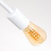 Cahaba Plafondlamp Wit, 6-lichts