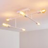 Cahaba Plafondlamp Wit, 6-lichts