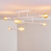 Cahaba Plafondlamp Wit, 6-lichts