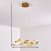 Woyens Hanglamp LED Goud, 1-licht