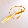 Woyens Hanglamp LED Goud, 1-licht