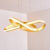 Woyens Hanglamp LED Goud, 1-licht