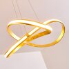 Woyens Hanglamp LED Goud, 1-licht