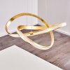 Woyens Hanglamp LED Goud, 1-licht