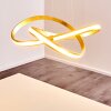 Woyens Hanglamp LED Goud, 1-licht