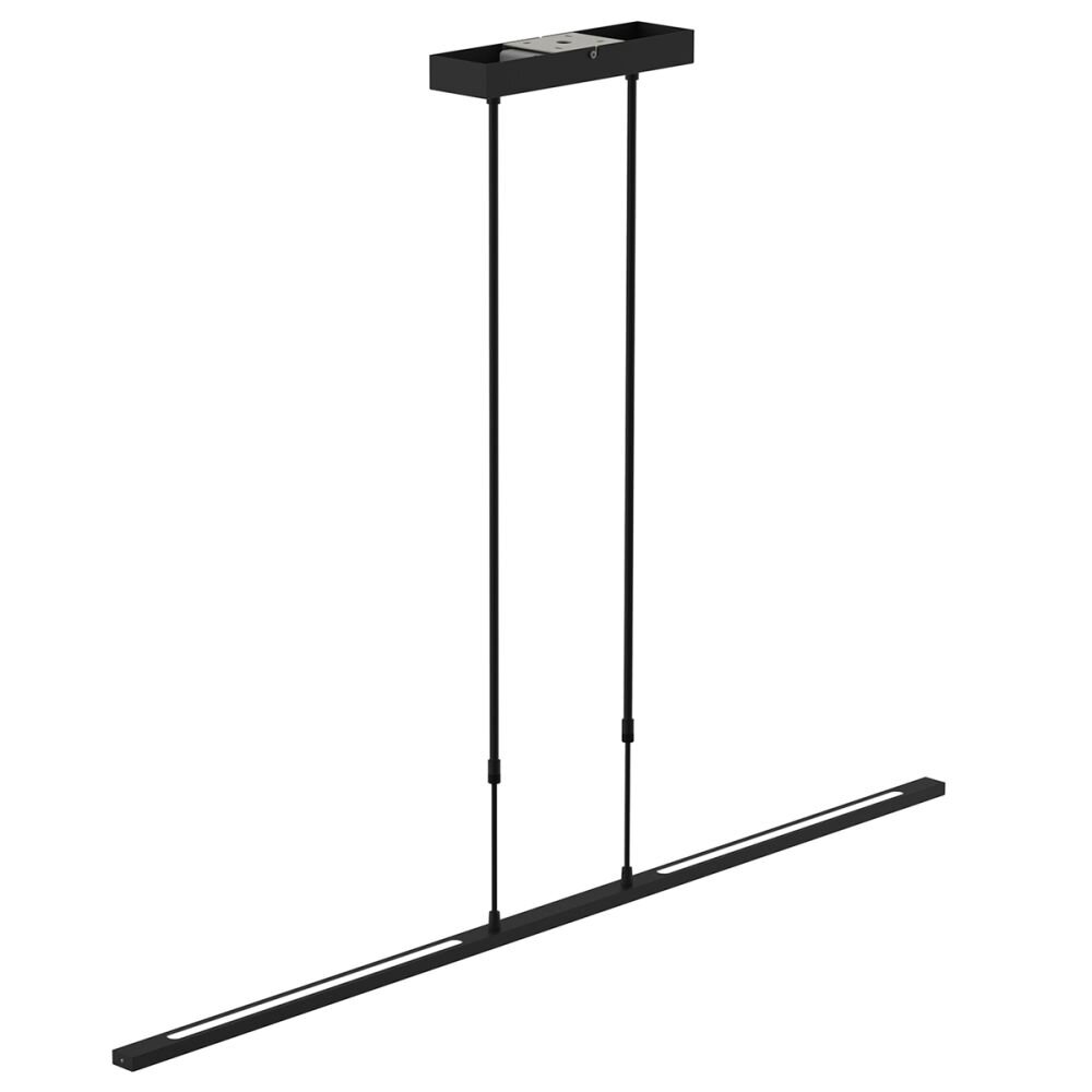 Steinhauer Zelena Hanger LED Zwart, 1-licht main product photo
