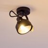 Rahway Plafondlamp Zwart, 1-licht