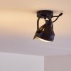 Rahway Plafondlamp Zwart, 1-licht