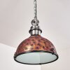 Ilvy Hanger Bruin, 1-licht