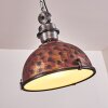 Ilvy Hanger Bruin, 1-licht