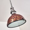 Ilvy Hanger Bruin, 1-licht