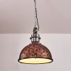 Ilvy Hanger Bruin, 1-licht