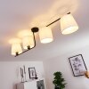 Cayuta Plafondlamp Zwart, 4-lichts