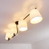 Cayuta Plafondlamp Zwart, 4-lichts