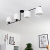 Cayuta Plafondlamp Zwart, 4-lichts