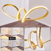 Woyens Hanglamp LED Goud, 1-licht