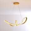 Woyens Hanglamp LED Goud, 1-licht